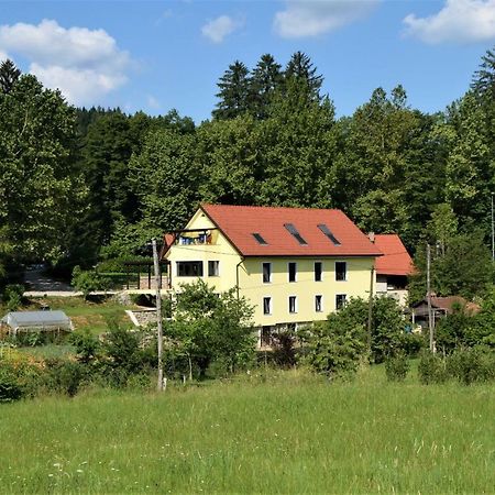Apartmaji Maln Dolenjske Toplice Exterior foto